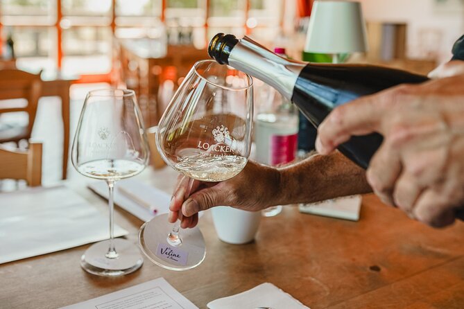 Winery tour & wine tasting in Montalcino - Getting started at Corte Pavone Winery in Montalcino