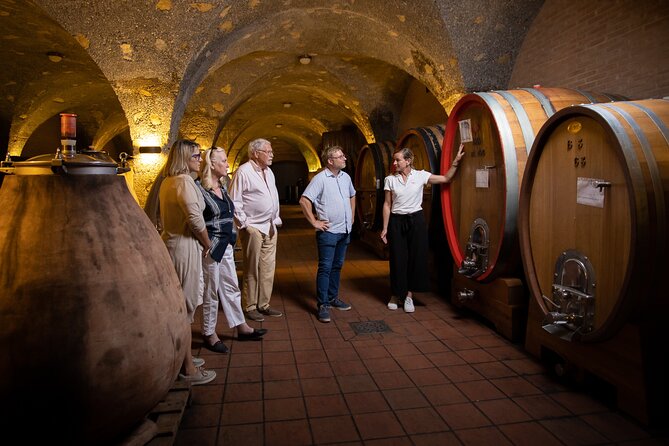 Winery tour & wine tasting in Montalcino - Grape processing and the cross-vaulted cellar: where aging gets explained