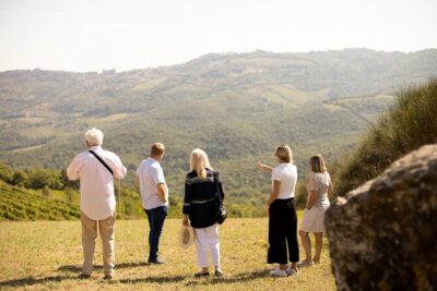Winery tour & wine tasting in Montalcino - The vineyard walk: Brunello Cru, terroir talk, and real questions