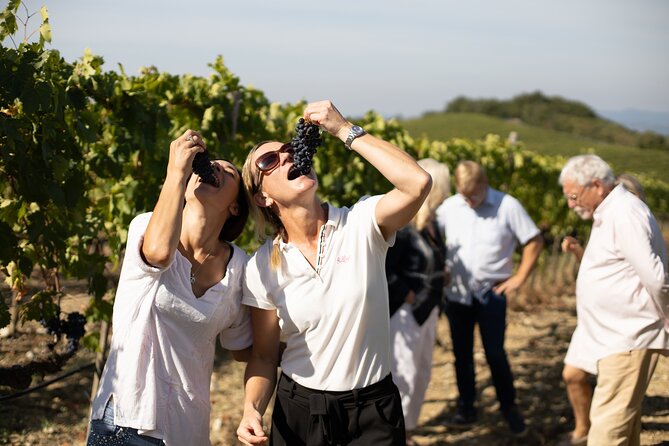 Winery tour & wine tasting in Montalcino - Price and value: is $47.93 worth it?