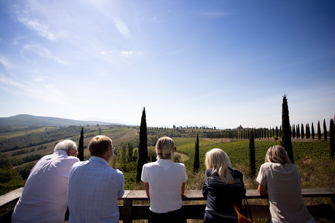 Winery tour & wine tasting in Montalcino - Group size, timing, and what to expect on the ground