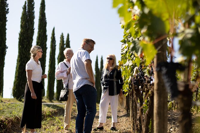 Winery tour & wine tasting in Montalcino - Should you book Corte Pavone’s vineyard tour and tasting?