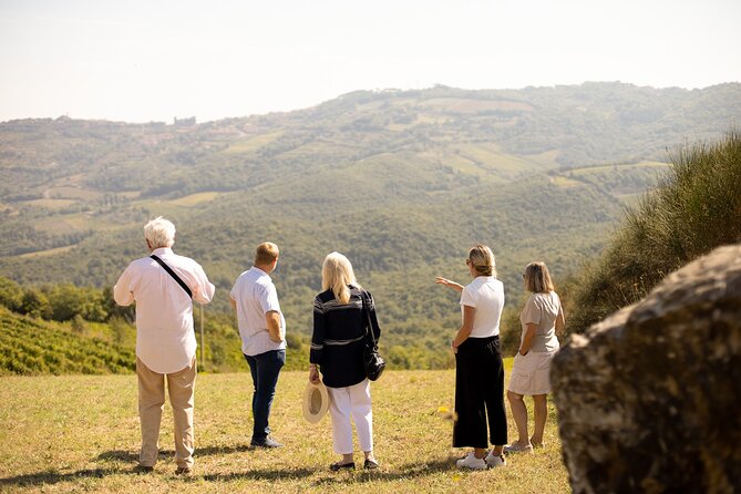 Winery tour & wine tasting in Montalcino - The vineyard walk: Brunello Cru, terroir talk, and real questions
