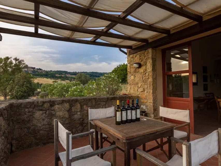 Winery Tour & Wine Tasting with Food near Livorno & Pisa - Key highlights at a glance