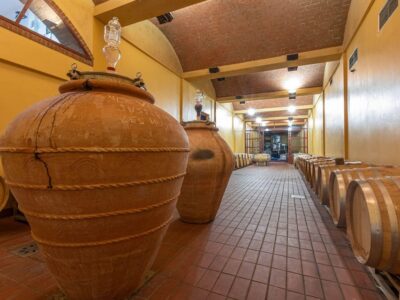 Winery Tour & Wine Tasting with Food near Livorno & Pisa - Entering the Etruscan Prince Warrior story (and why it’s more than a gimmick)