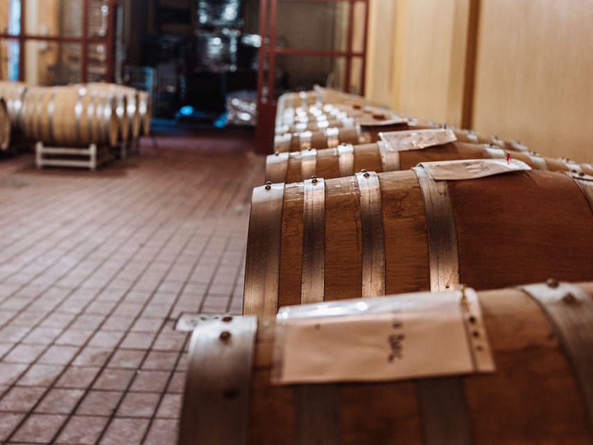Winery Tour & Wine Tasting with Food near Livorno & Pisa - Should you book this Winery Tour & Wine Tasting near Livorno and Pisa?