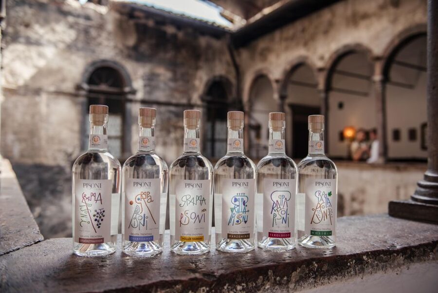 Winery tour with tasting of TrentoDoc and Grappa - Where Pergolese (Madruzzo) fits into the TrentoDoc world