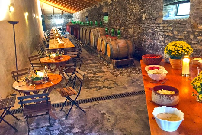 Winery tour with Wine and Olive tasting in Corfu - The estate grounds: pine, olives, and the quiet that makes you slow down