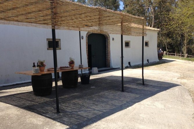 Winery tour with Wine and Olive tasting in Corfu - Timing: how a 20-minute tour fits into a Corfu day