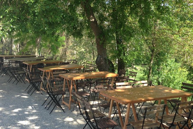 Winery tour with Wine and Olive tasting in Corfu - A short tour that actually teaches something