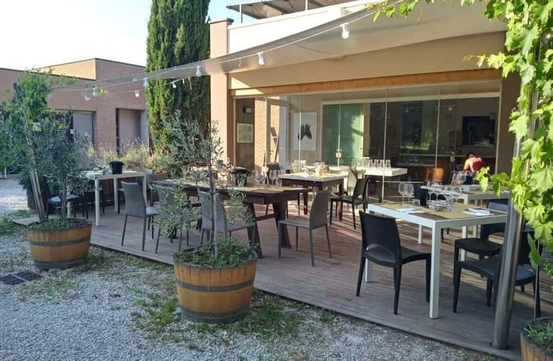 Winery Tour with Wine & Food Tasting near Riccione & Rimini - Key Highlights You’ll Care About