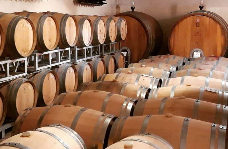 Winery Tour with Wine & Food Tasting near Riccione & Rimini - Should You Book This Winery Tour Near Riccione and Rimini?