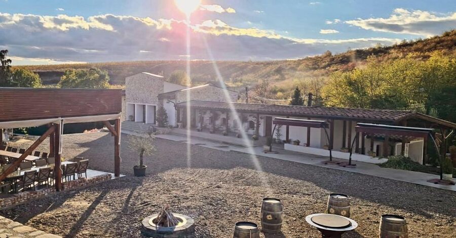 Winery touring & private wine tasting - one day private tour - Key points to know before you go