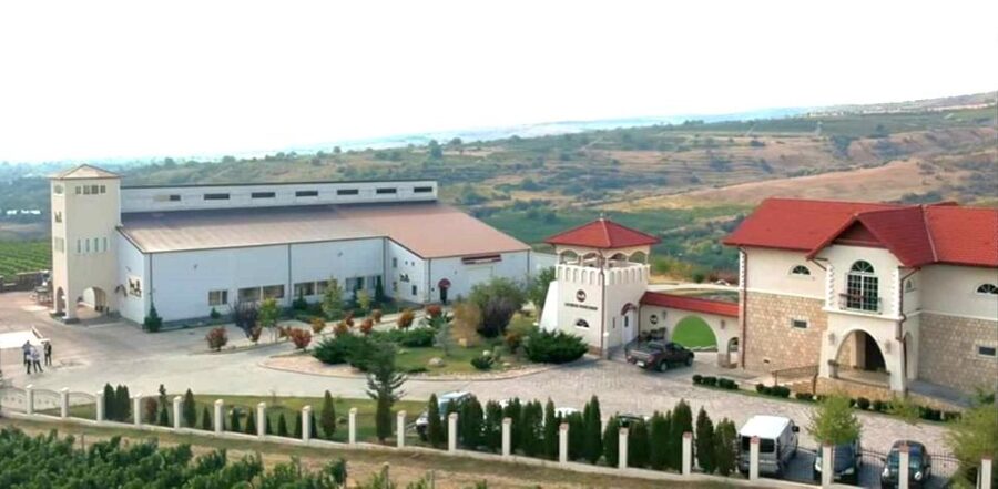 Winery touring & private wine tasting - one day private tour - Dealu Mare’s wine hills: why this day trip makes sense from Bucharest