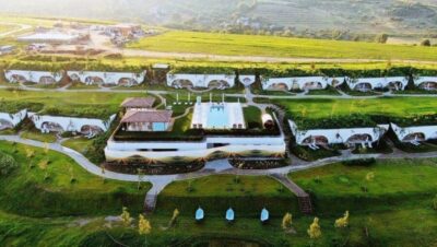 Winery touring & private wine tasting - one day private tour - Your 10-hour plan: pickup, museum stop, and the wine-road rhythm