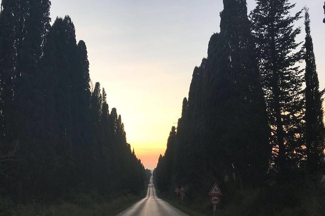 Winery tours and tastings in Bolgheri with Wine Guide - Key highlights you’ll care about