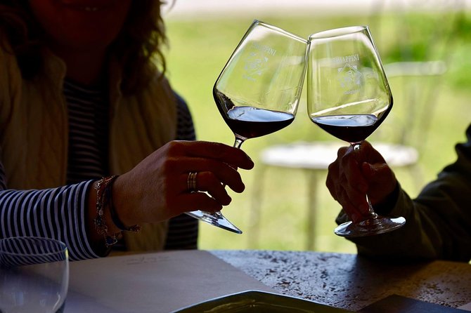 Winery tours and tastings in Bolgheri with Wine Guide - Tastings and on-site costs: where the math gets real