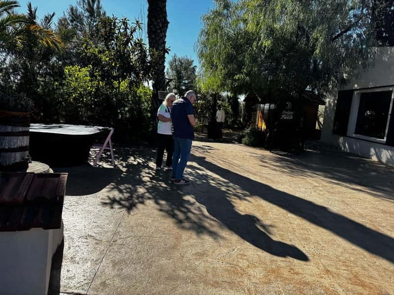Winery Visit and Tasting in Elche with wines and tapas from Alicante in Van - A short 3-hour half day built for wine and tapas bites