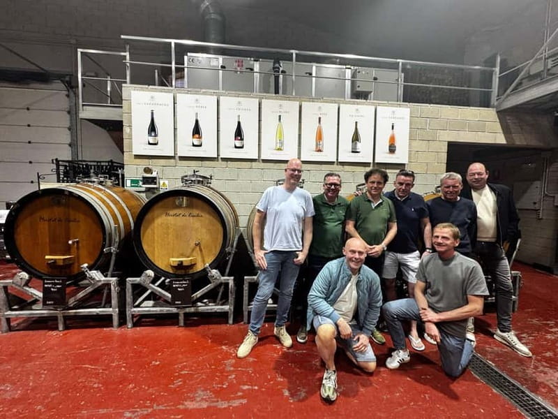 Winery Visit and Tasting in Elche with wines and tapas from Alicante in Van - Where you’ll be picked up around Santa Pola and Alicante
