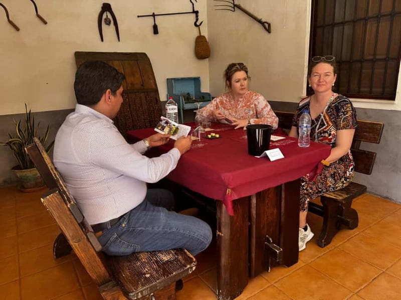 Winery Visit and Tasting in Elche with wines and tapas from Alicante in Van - Santa Pola lighthouse and the return flow back