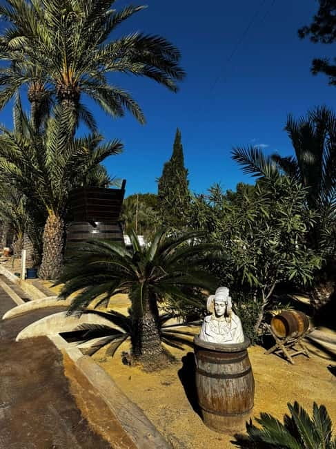 Winery Visit and Tasting in Elche with wines and tapas from Alicante in Van - Price and value: why $68 works if you want guided tastings + transport