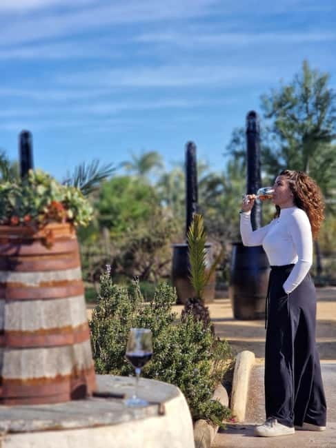 Winery Visit and Tasting in Elche with wines and tapas from Alicante in Van - Who should book this Elche-area winery van tour