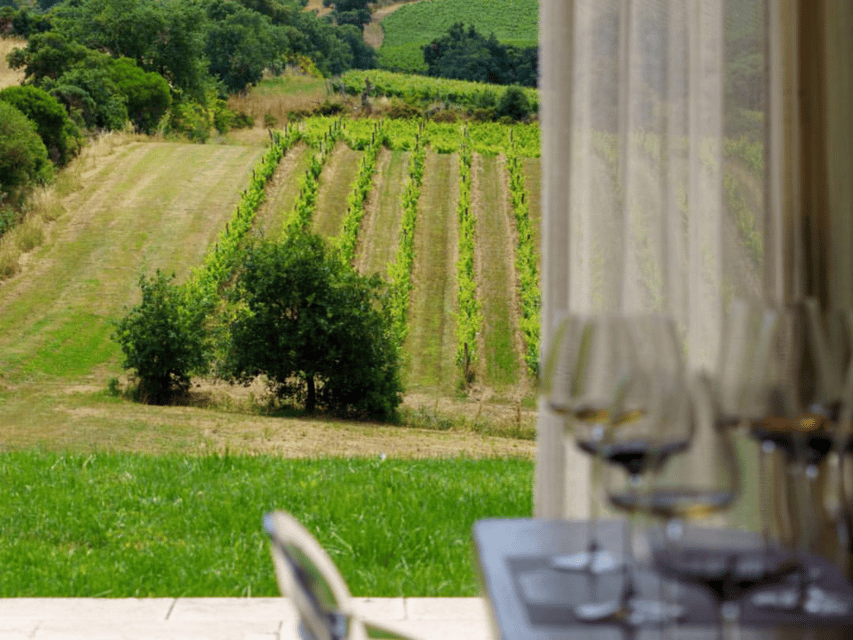 Winery Visit & Tasting near Grosseto with 6 wines - When rain changes the plan: how flexible is this tour?