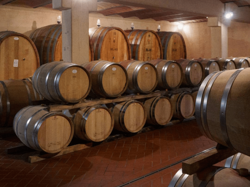 Winery Visit & Tasting near Grosseto with 6 wines - Price and value: is $58 worth it?