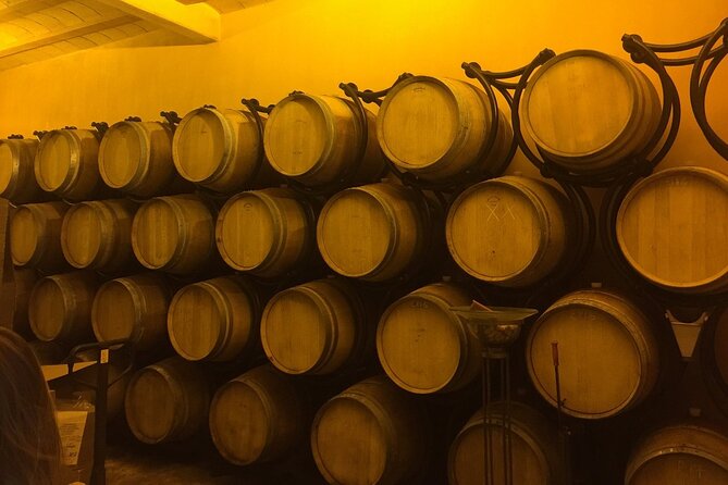 Winery Visit with Food and Wine in Carcassonne - Price and value: what $138.78 buys in real terms