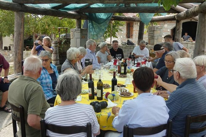 Winetasting tour in Alpeta winery - Roshnik village by 1001 Albanian Adventures - Roshnik vineyards: what you’ll see before you taste