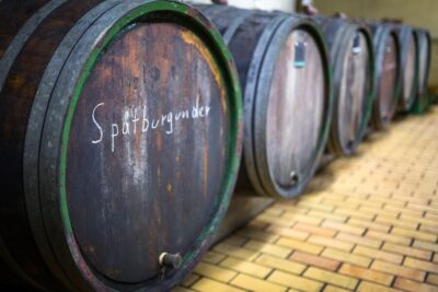 Winetasting with tour through the winery - Inside the winery and wine cellar: fermentation without mystery