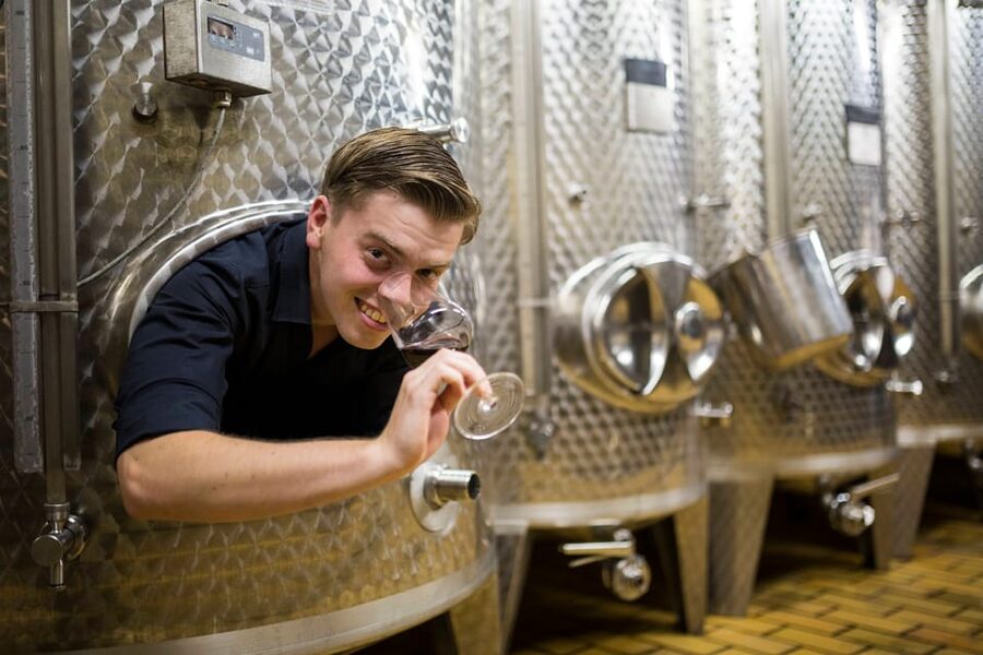 Winetasting with tour through the winery - The language factor: what German-only guidance means for you