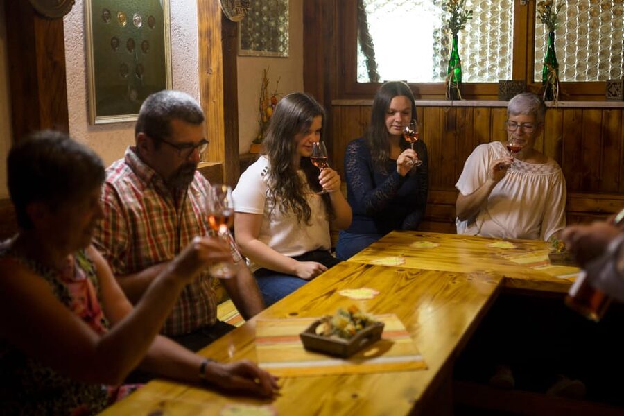 Winetasting with tour through the winery - Booking timing and how to plan your day