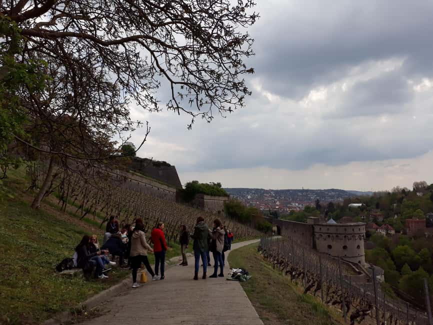 Wuerzburg: Vineyard rally with wine tasting and group dynamics - Marienberg Fortress views without the museum fatigue