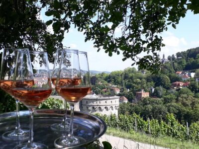 Wuerzburg: Vineyard rally with wine tasting and group dynamics - The 2-hour plan: from Äußeres Höchberger Tor to St. Burkard