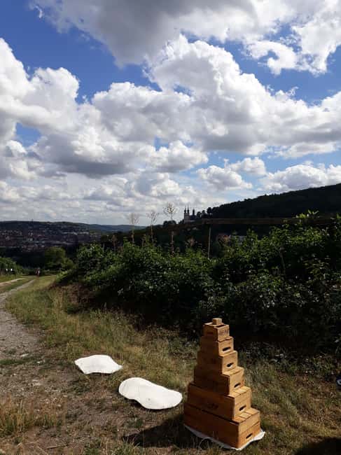 Wuerzburg: Vineyard rally with wine tasting and group dynamics - Rubber boot target throwing and skill-game energy