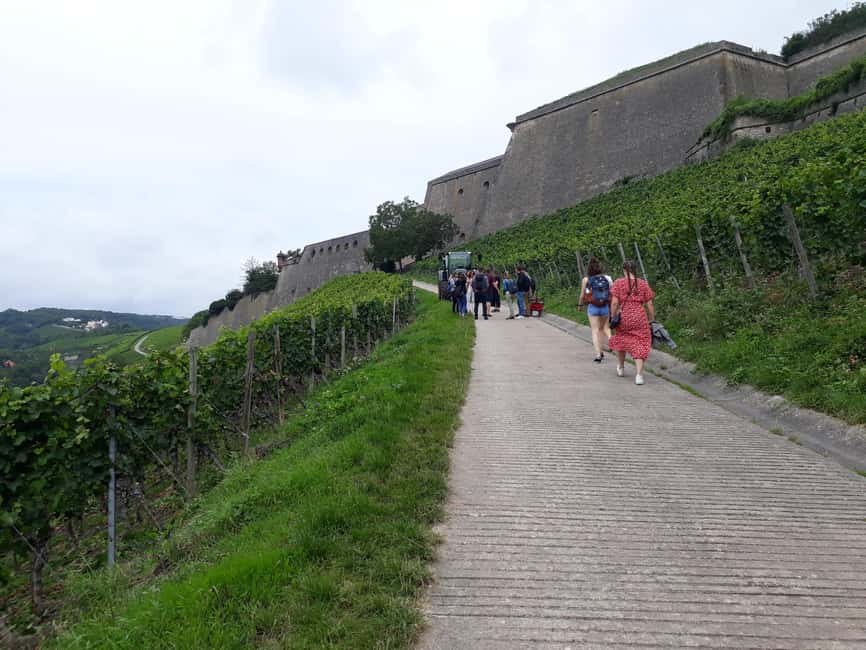 Wuerzburg: Vineyard rally with wine tasting and group dynamics - Is $64 good value for what you get?