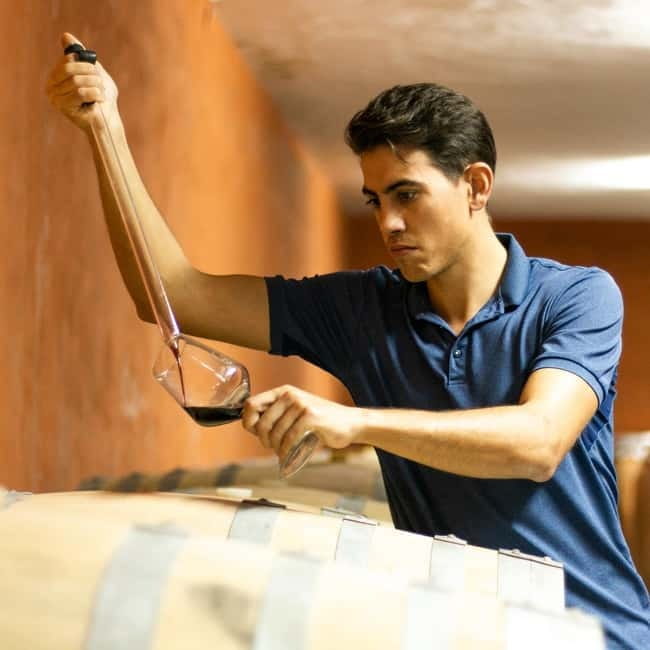 Xalo: Vineyard Tour with Wine Tasting and Snacks - Entering Xalo at Bodegas Riko: where the tour starts