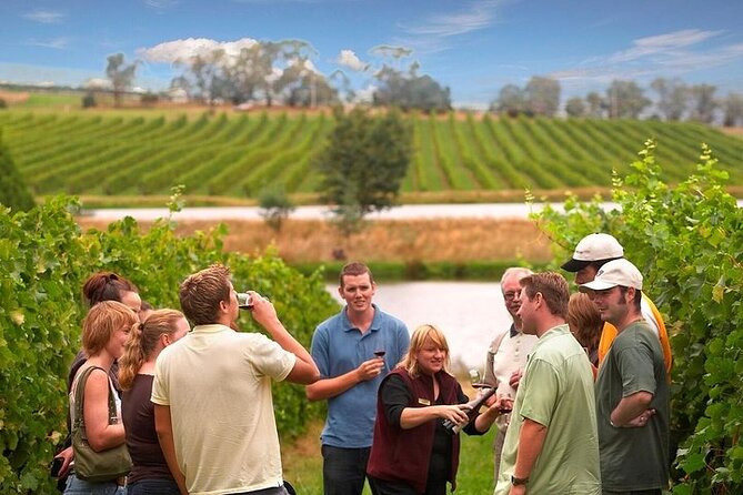 Yarra Valley Wine & Winery Tour from Melbourne - All Inclusive! - Four Wineries and a Guided Road Trip From Melbourne