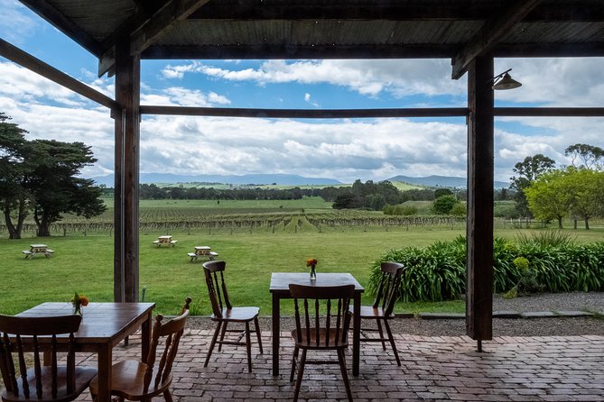 Yarra Valley Wine & Winery Tour from Melbourne - All Inclusive! - The Scenic Extras: Photo Stops and a Bit of Free Time