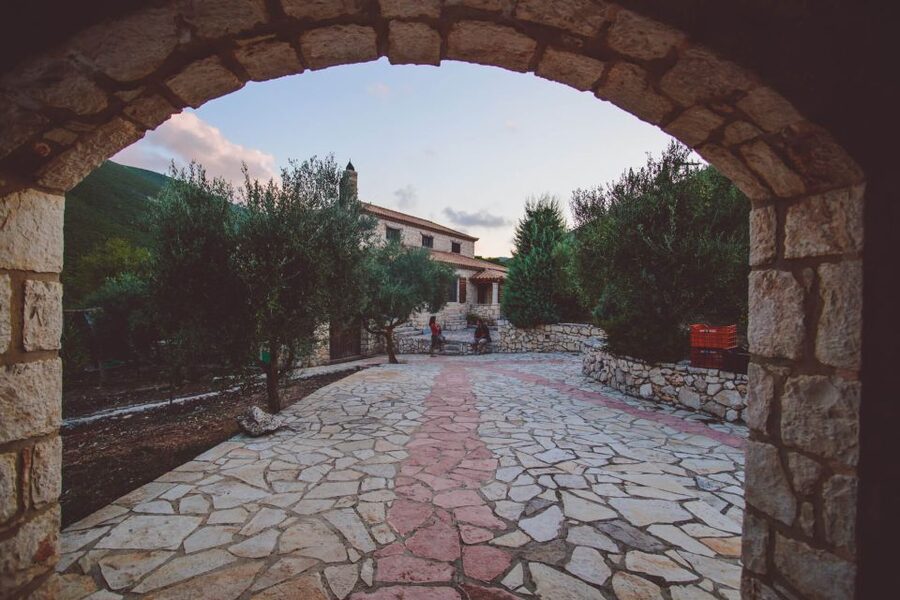 Zakynthos: Vineyard & Winery Tour with Local Winemaker - Vineyard walk and old farmhouse: seeing the estate without expecting a long hike