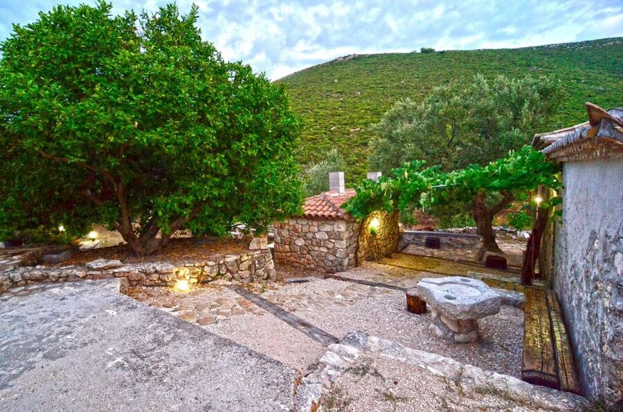 Zakynthos: Vineyard & Winery Tour with Local Winemaker - Who this Zakynthos wine tour is for (and who should skip)